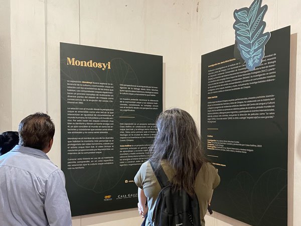 <p>Exposición Mondosyi en La Enseñanza, San Cristóbal de las Casas, Chiapas</p><p></p>
