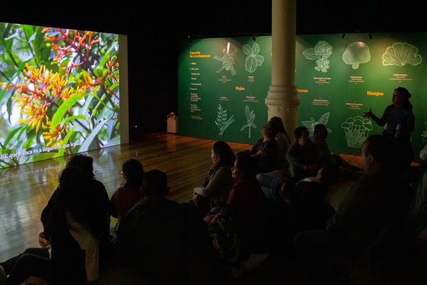 Exposición Mondosyi en el Museo de Geología - Imagen 5