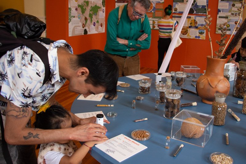 Seeds in the Geology Museum, UNAM - Imagen 4