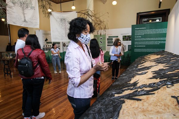 ¿Dónde está nuestro abrigo? Biodiversidad en los Altos de Chiapas - Imagen 3