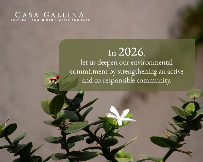 Here is a house - Crowdfunding campaign