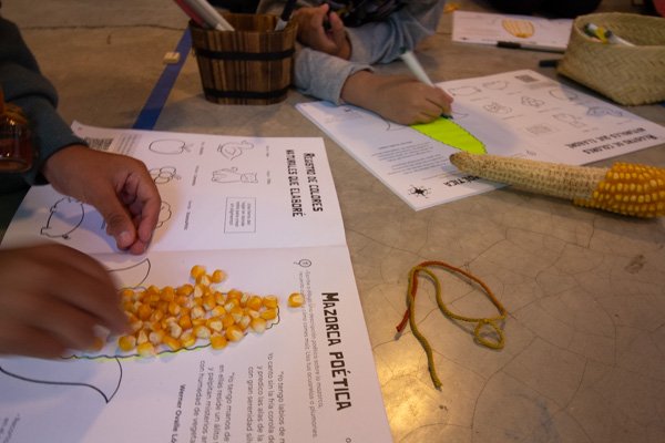 <p>Curso de verano Chilpayates de ciudad: explorando Milpa Alta</p> - Imagen 3