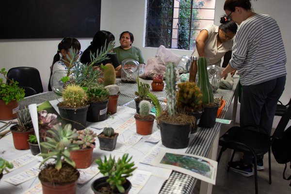 <p>Taller Jardines xerófilos</p> - Imagen 1