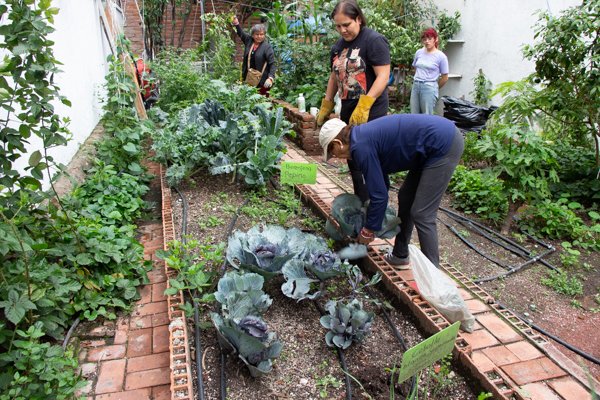 <p>Día de huerta</p> - Imagen 1